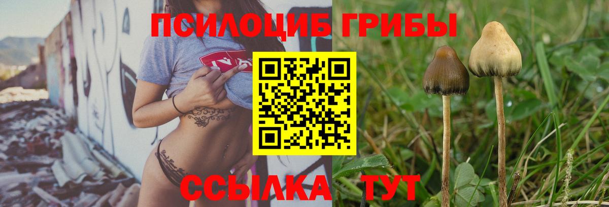 Псилоцибиновые грибы GOLDEN TEACHER  Вход с VPN  где найти наркотики  Галлюциногенные грибы мухоморы  Малгобек 